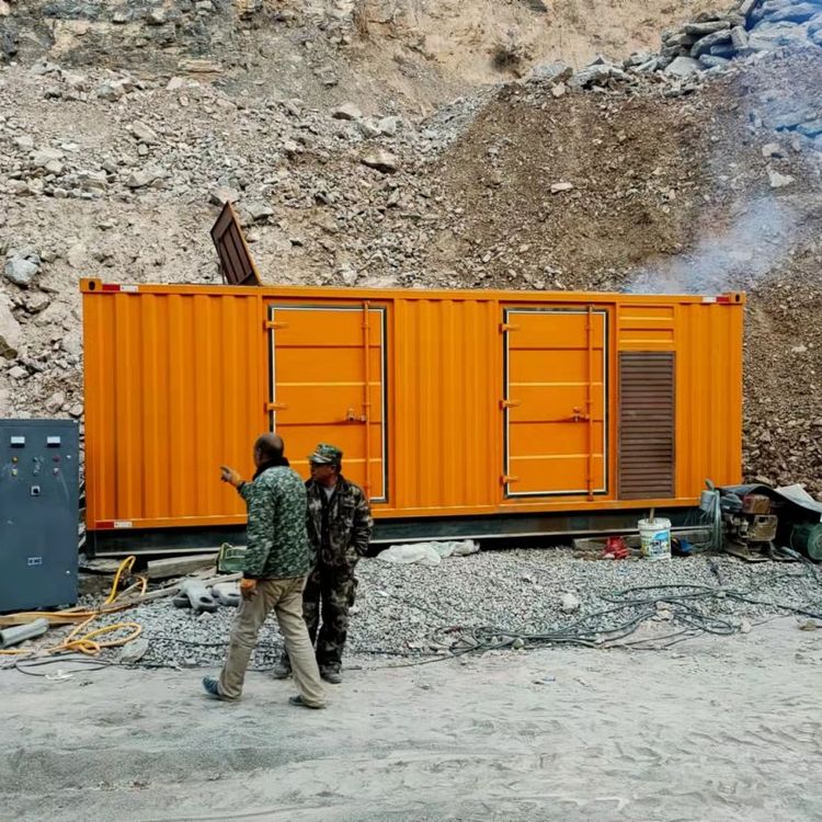 牡丹如何选择适合自己的 800KW 柴油发电机组?